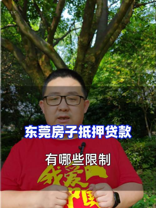 东莞松山湖车辆抵押贷款申请流程详解(东莞车辆抵押登记在哪里办理)